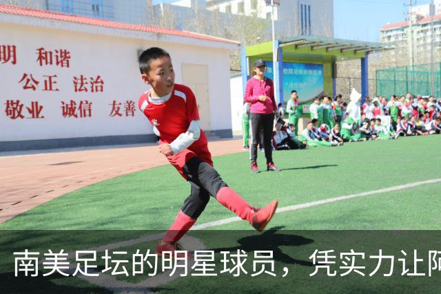 南美足坛的明星球员，凭实力让阿根廷队吃尽苦头，却失意于皇马