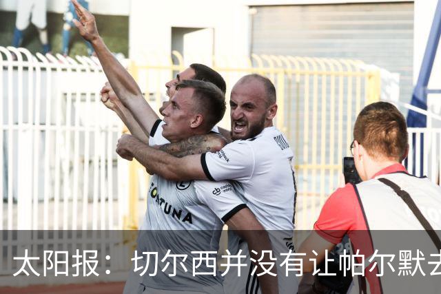 太阳报：切尔西并没有让帕尔默去游说罗杰斯，但两人感情很好
