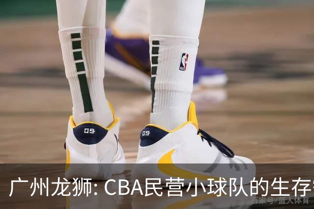 广州龙狮: CBA民营小球队的生存智慧，如何把选秀做成生意经？